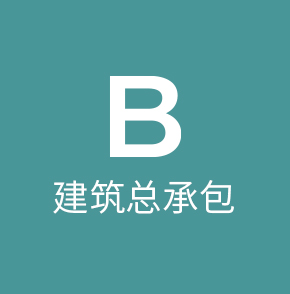 B执照
